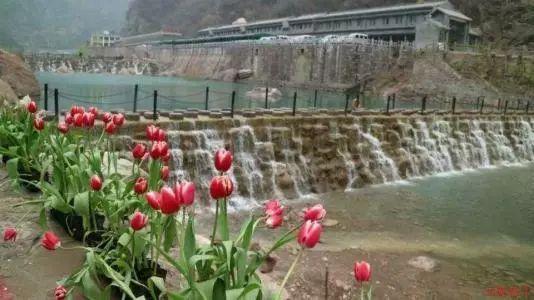 孩子未满一岁离婚要判给谁游戏画面